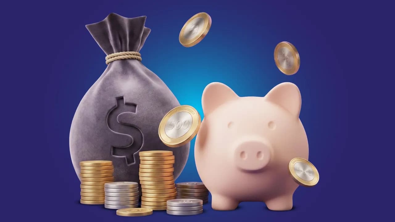 Saco de dinero con monedas y chancho alcancía